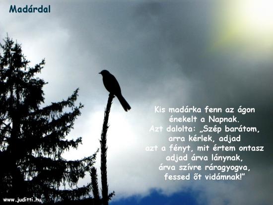 madardal linkes