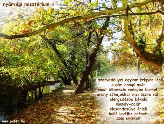 nyarvegi miszterium kis