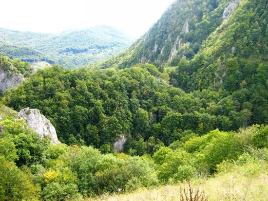 Vargyas-szoros1