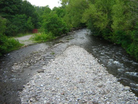 Bisztra patak