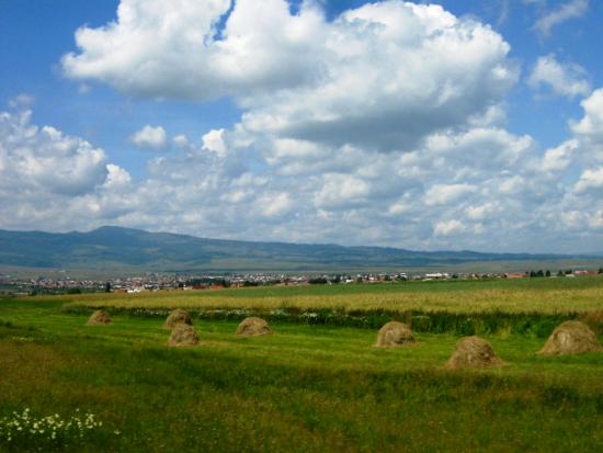 Gyergyoremete