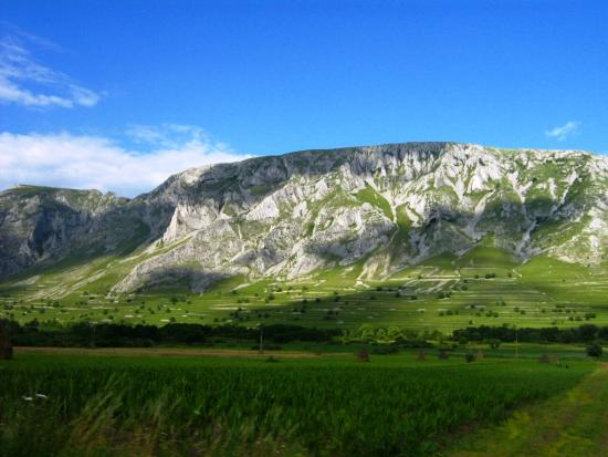 Szekelyko