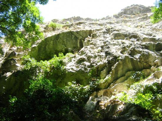 Tordai hasadekban