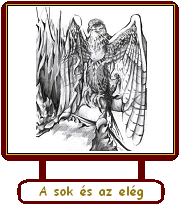A sok és az elég