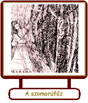 A szomorúfűz