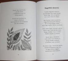 Állatsimogató  1
