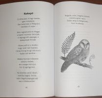 Állatsimogató 3