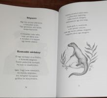 Állatsimogató 4